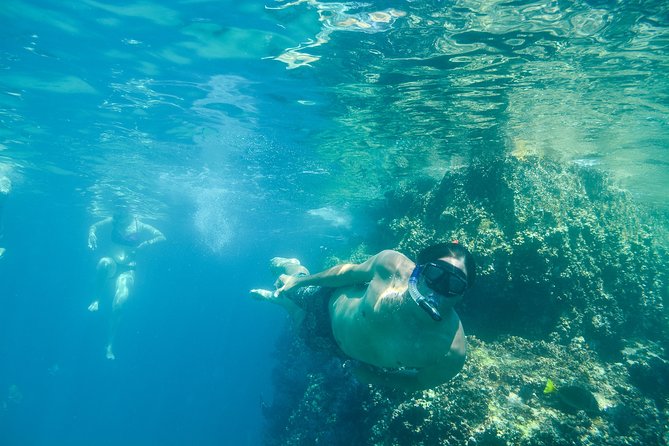 Private Los Cabos snorkeling tour to Chileno bay and Santa Maria cove - What’s included for $125—and why it can feel like good value