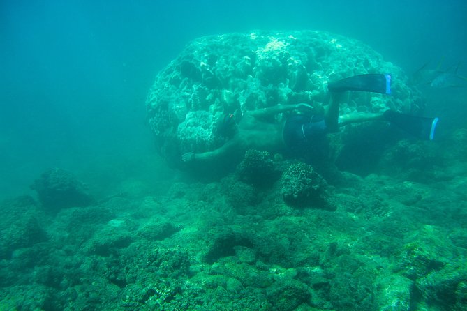 Private Los Cabos snorkeling tour to Chileno bay and Santa Maria cove - Getting there: Plaza Gali meeting point, cruise pickup, and optional transport