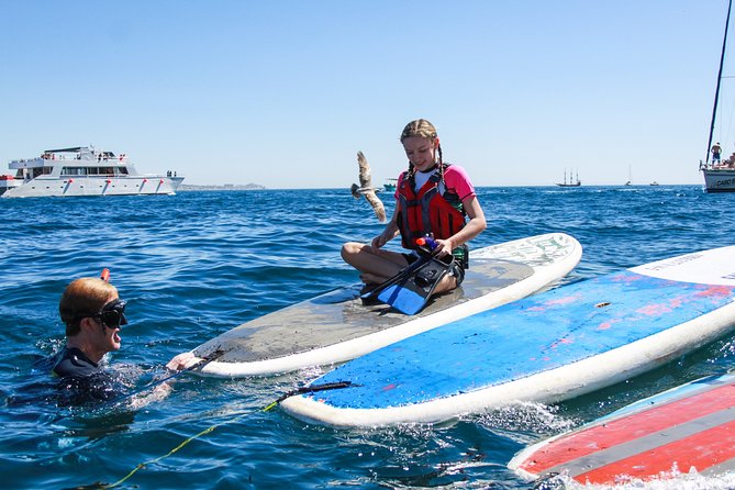 Private Paddleboard and snorkel at the arch - Paddleboard Lesson to El Arco: How Guides Make It Feel Manageable