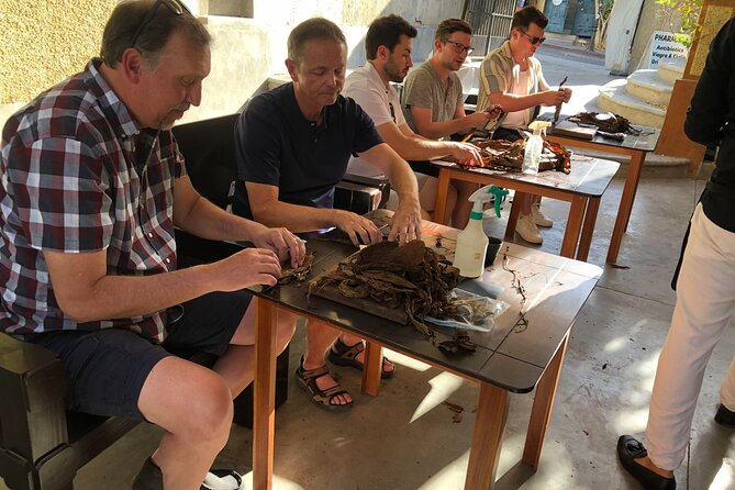 Private Puro Cigar Creation Workshop in Los Cabos - Tools, Setup, and What You’re Actually Using