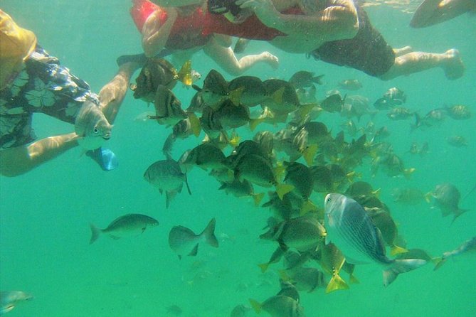 Private Snorkel Cruise in Cabo San Lucas - What You’re Really Buying: a Private Cabo Water Day