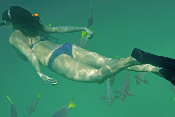 Private Snorkeling Tour in Cabo San Lucas - Route details: what each stop is like and how to enjoy it