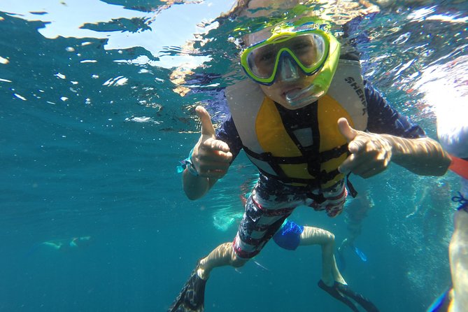 Private Snorkeling Tour in Cabo San Lucas - The snorkel experience in the marine reserve: what you can expect to see