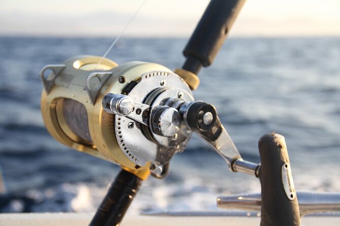 Private Sport Fishing Charter Experience in Cabo San Lucas (5 Hours) - El Arco From the Water: Cabo’s Icon as Your First Stop