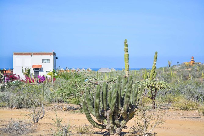 Private Todos Santos Jeep - Key things that make this Jeep tour worth your time