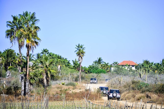 Private Tour Baja Jeep 4x4 Adventure at Los Cabos - Stop 1: Caduano for a real Baja Desert feel (and a quick taste)
