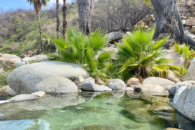 Private Tour to Hot Springs and Waterfall in Santiago - Pickup, timing, and how the ride affects your day