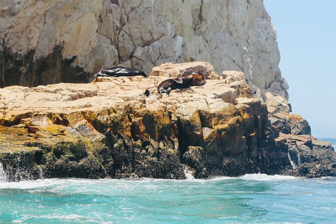 Private Tour to the Arch of Cabo San Lucas by Glass Bottom Boat - From Dock to Underwater Views: What You’ll Do Before El Arco