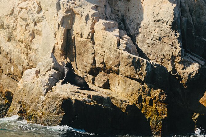 Private Tour to the Arch of Cabo San Lucas by Glass Bottom Boat - Lover’s Beach and Divorce Beach: How the Guide Turns Landmarks Into Story