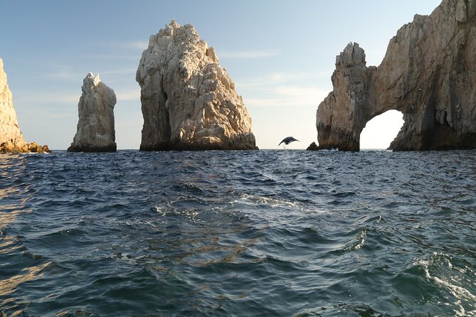 Private Tour to the Arch of Cabo San Lucas by Glass Bottom Boat - What About Sea Life? How to Use the Glass Bottom Effectively