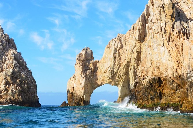 PRIVATE Whale Watch Tour | Cabo San Lucas | Biologist | FREE Pics - How a marine biologist-led private tour changes whale watching