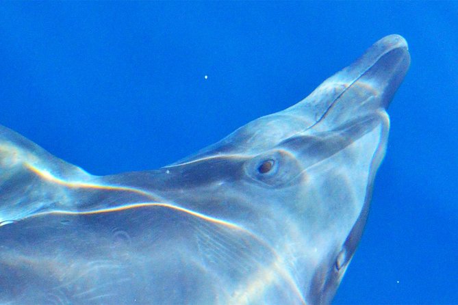 PRIVATE Whale Watch Tour | Cabo San Lucas | Biologist | FREE Pics - The first cruise stops: Arch photos and Lovers’ Beach sightings