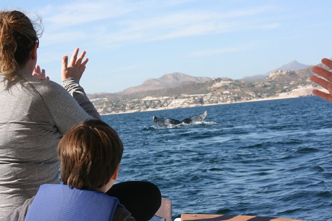 Private Whale Watching in San José del Cabo - Hearing humpbacks with the hydrophone: the wow moment