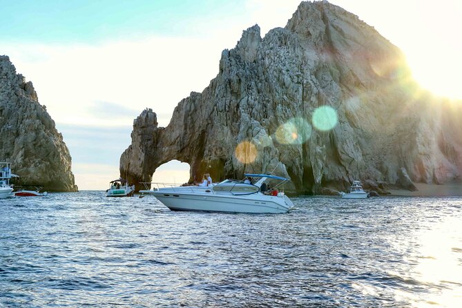 Private Whale Watching on Luxury Yacht in Cabo San Lucas - Marine biologist guide and naturalist-style spotting