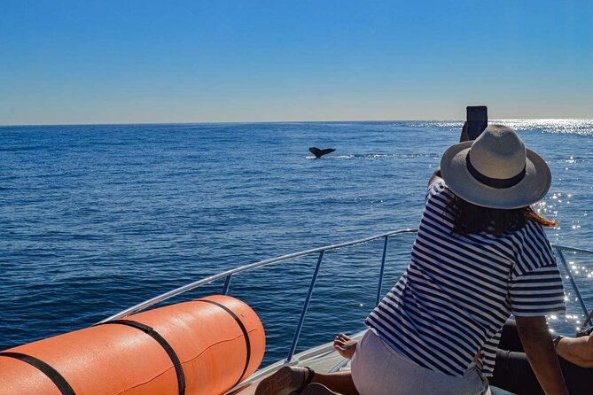 Private Yacht, Snorkeling or Sunset in Cabo San Lucas - Stop 1 at the Arch of Los Cabos: the classic photo moment
