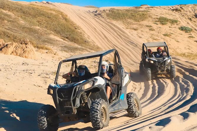 Race the Baja 1000 — Migriño Desert & Beach Off‑Road Adventure - Whale-watching reality check for January to March