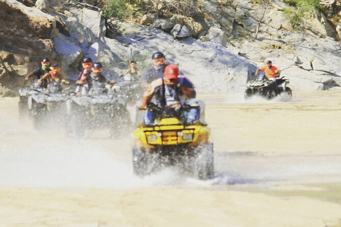 Ride through Bajas wild beauty—from desert trails to ocean views. - Key highlights that make this ride worth it