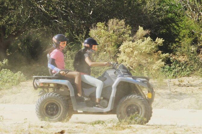 Ride through Bajas wild beauty—from desert trails to ocean views. - Pickup, check-in, and what to expect before you ride