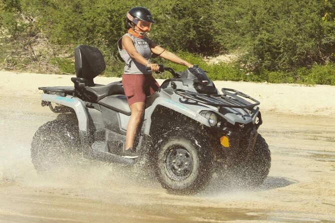 Ride through Bajas wild beauty—from desert trails to ocean views. - Stop 2: Baja California Sur in motion during the 15-minute coast-to-desert view