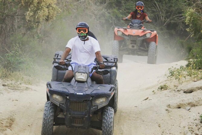 Ride through Bajas wild beauty—from desert trails to ocean views. - The ride itself: dusty, bumpy, and totally part of the point