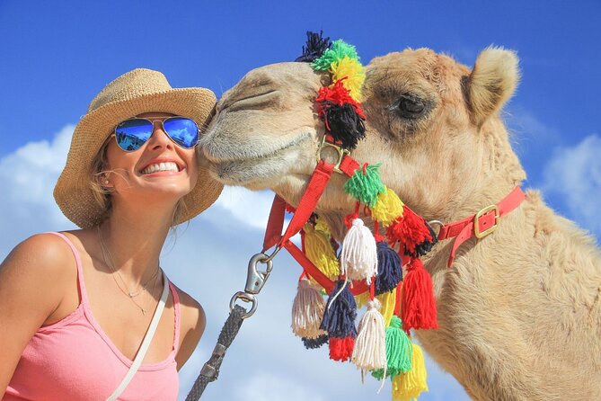 Safari with Camel Caravan to Explore Baja’s Nature, Culture and Cuisine - Key highlights worth planning around