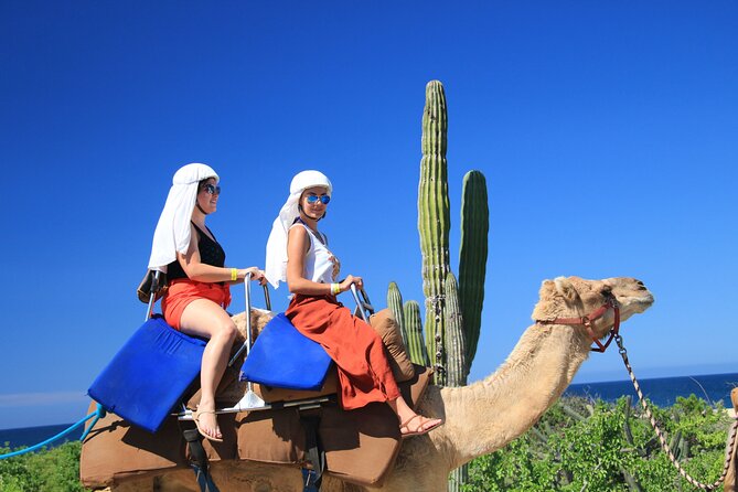 Safari with Camel Caravan to Explore Baja’s Nature, Culture and Cuisine - Inside Sacred Land Ranch: ecology, rescue animals, and camels