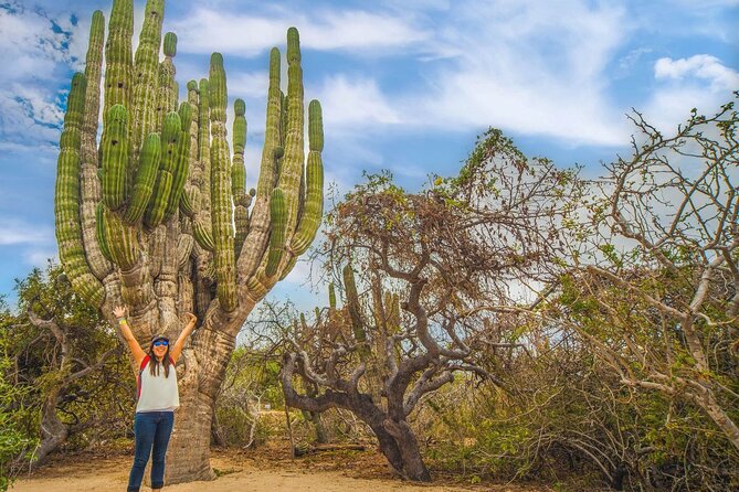 Safari with Camel Caravan to Explore Baja’s Nature, Culture and Cuisine - Tortilla-making lunch and Baja food pace