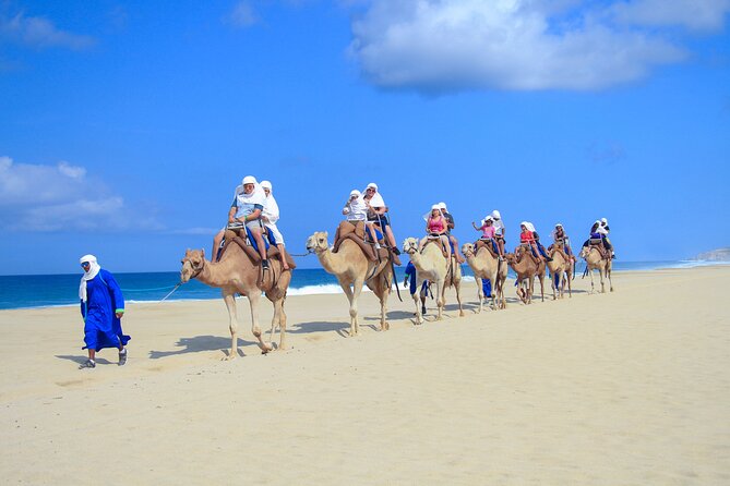 Safari with Camel Caravan to Explore Baja’s Nature, Culture and Cuisine - Budget, park fee, and value check for Cabo’s camel safari