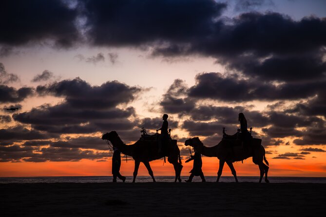 Safari with Camel Caravan to Explore Baja’s Nature, Culture and Cuisine - Should you book this camel safari from Cabo?