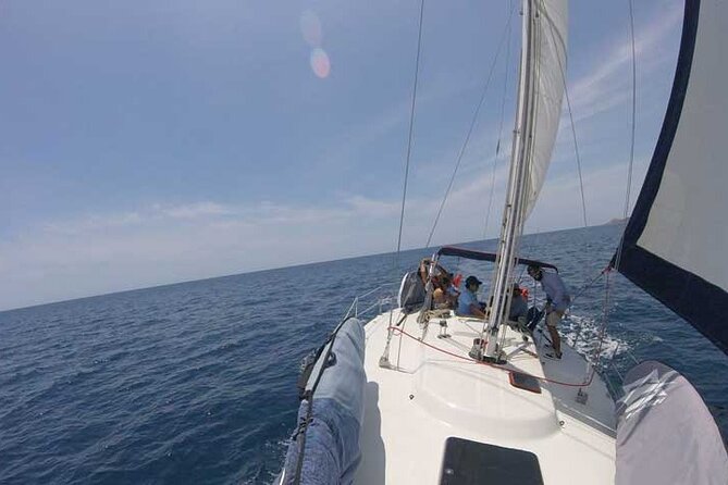 Sailing Snorkel Adventure - Key Points Worth Knowing Before You Go