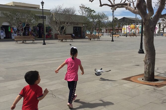 San Jose del Cabo Historic District Walking Tour - Getting around without stress: pickup, mobile ticket, and a tight group