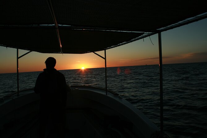 San Jose del Cabo Small-Group Sunrise Whale Watching - Small Group Up to 10: The Difference Between Crowds and Calm