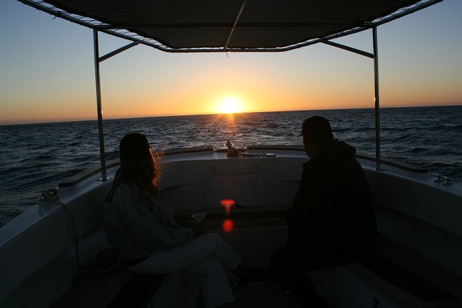San Jose del Cabo Small-Group Sunrise Whale Watching - Species and Season: Humpback and Gray Whales in the Sea of Cortez