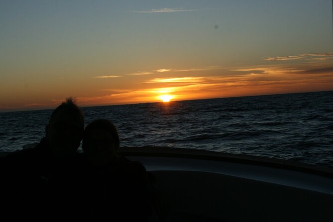 San Jose del Cabo Small-Group Sunrise Whale Watching - What “Learning About Whale Behavior” Looks Like on the Water