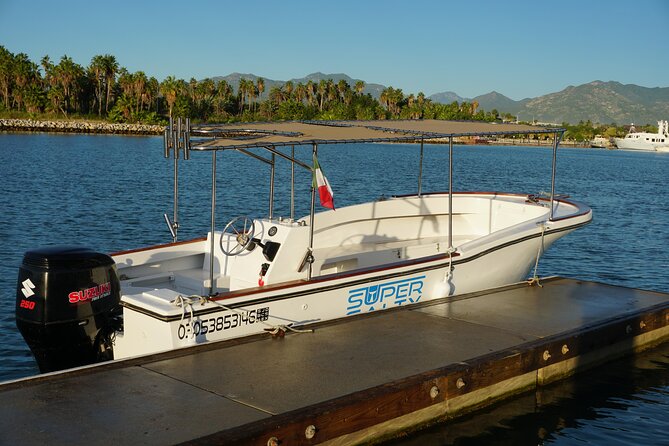 San Jose del Cabo Small-Group Sunrise Whale Watching - Safety, Comfort, and Keeping Motion at a Minimum