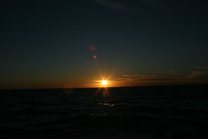 San Jose del Cabo Small-Group Sunrise Whale Watching - Price Breakdown: Is $99 Good Value for a 2-Hour Morning?