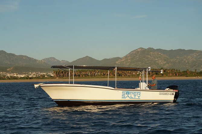 San Jose del Cabo Small-Group Sunrise Whale Watching - The Guide-Captain Team: What You’re Really Paying For at $99