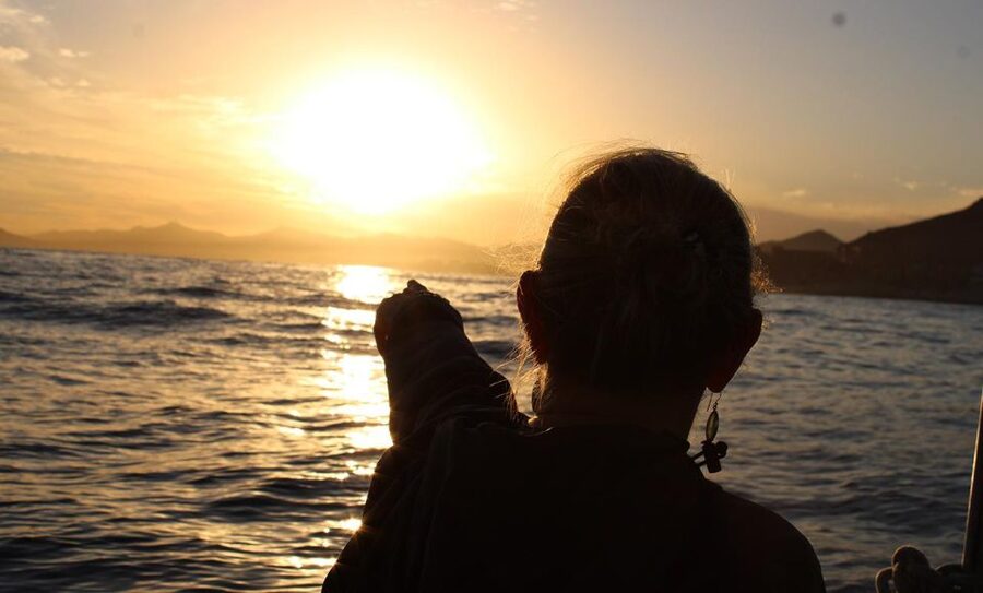 San Jose del Cabo Sunset Whale Watching - Meeting at Callejon Pez Sierra 5: how to avoid the start-time scramble