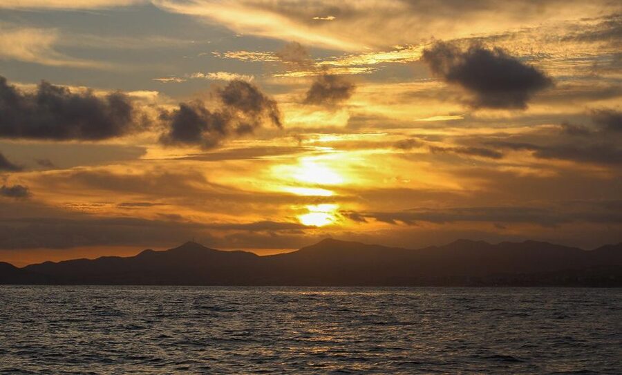San Jose del Cabo Sunset Whale Watching - Who this is perfect for—and who should skip it