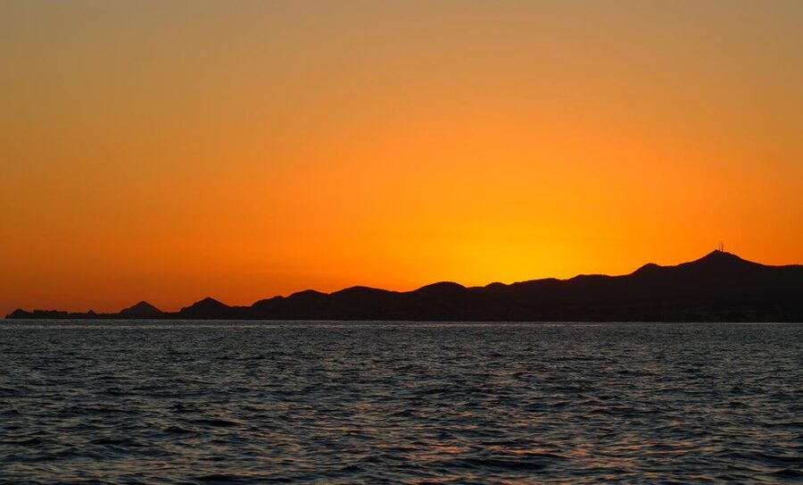 San Jose del Cabo Sunset Whale Watching - The service experience: friendly crews and guide expertise