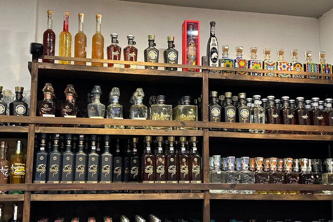 San Jose del Cabo Tequila, Mezcal and Mixology Class - Quick Hits