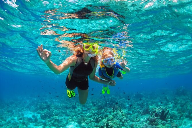 Santa Maria and Chileno Bay Snorkel Adventure Los Cabos - Price, Time, And What You’re Really Paying For