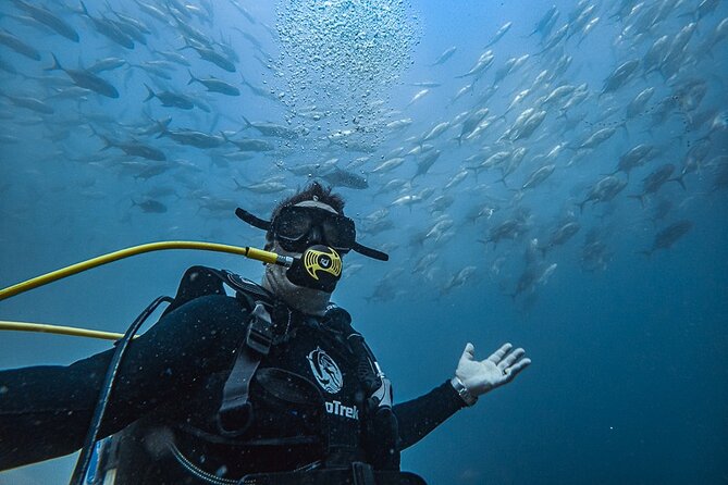 Scuba Diving - Key things I’d plan around before you go