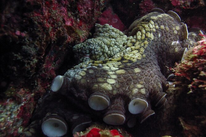Scuba Diving - Where the day starts: Cabo Trek check-in and the Marine Park briefing