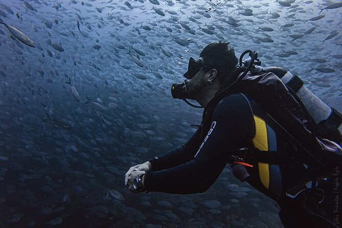Scuba Diving - The exact flow on board: timing, boat size, and how you’ll spend the day
