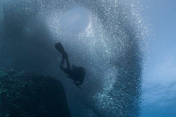 Scuba Diving - Gear, equipment rentals, and the one thing to confirm before you arrive