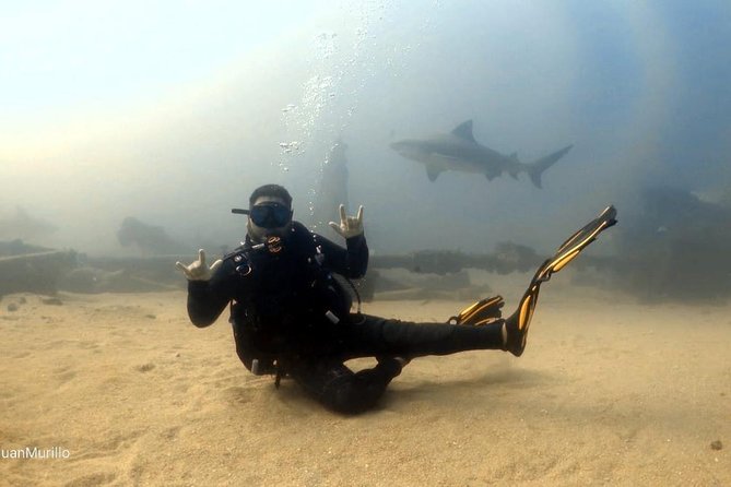 Scuba Diving adventure Cabo pulmo - Certified Scuba Guide Support and Reef Ecology Commentary