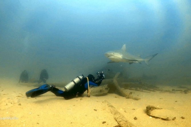 Scuba Diving adventure Cabo pulmo - Tanks, Certification Proof, and Doing This at the Right Level