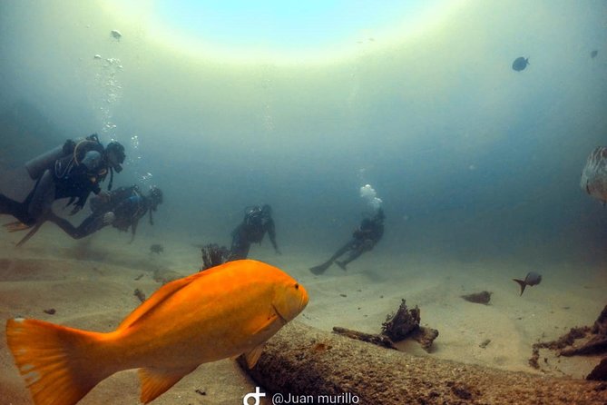 Scuba Diving adventure Cabo pulmo - Food, Water, and Why the Morning Matters