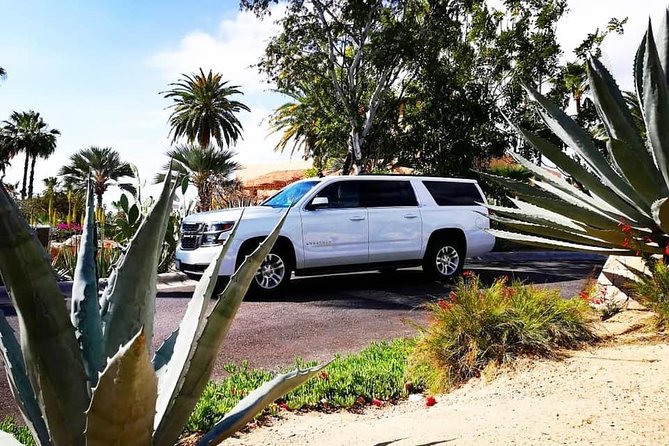 services transportation, airport transportation in los cabos, Private shuttles - Safety, Insurance, and Practical Comfort